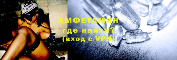 прущие грибы Медвежьегорск