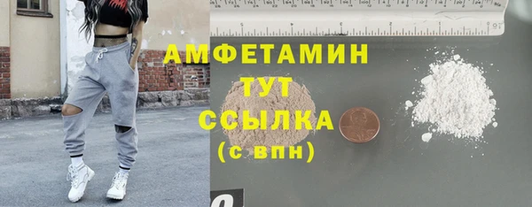 прущие грибы Медвежьегорск
