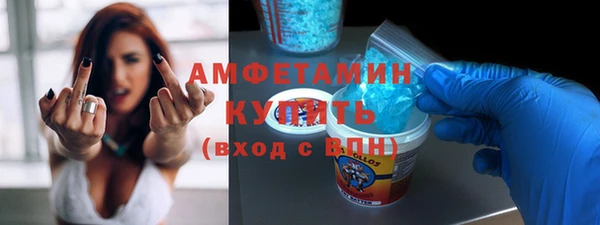 сатива Дмитриев