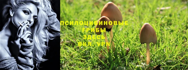 хмурый Гусиноозёрск
