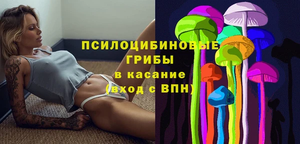 apvp Дмитровск