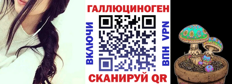 мега как зайти  Духовщина  Галлюциногенные грибы Cubensis 